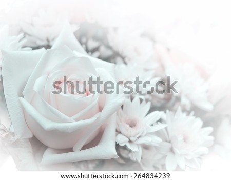 Pale pink white rose with assorted flower for backgrounds (edited in two tone color with vignette and iris blur)