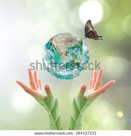 Green planet with butterfly over human hands in blurred green color bokeh background of natural tree leaves facing sun flare : World environment day concept: Elements of this image furnished by NASA