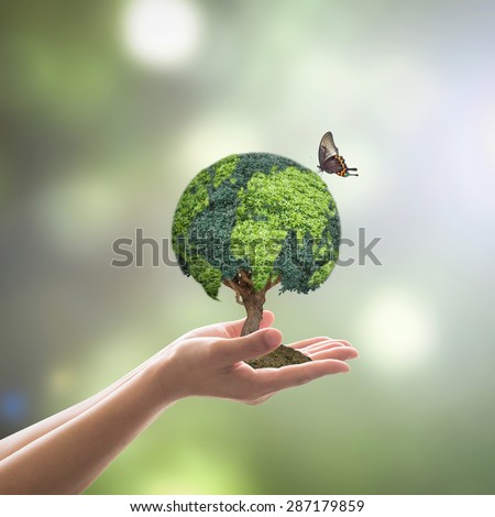 Planting green globe shaped tree on female human hands with butterfly on blurred natural bokeh background of greenery plants : Environment conservation concept: Reforestation and sustainable forest