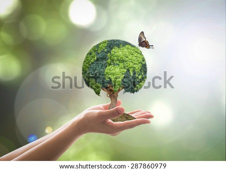 Green globe shape tree planting on female human hands with butterfly in blurred natural bokeh background : Environment conservation campaign concept : Reforestation, sustainable forest and plantation