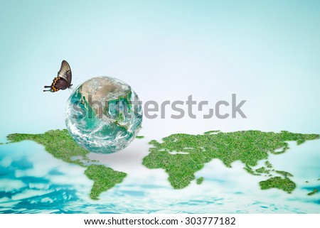 Butterfly drinking water on green globe with world map and ocean background : Save world environment and hydrography concept to combat desertification :Elements of this image furnished by NASA