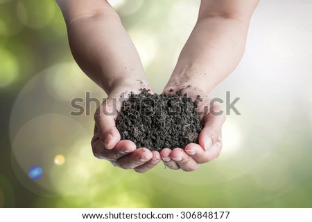 Humus black soil perfect for agricultural cultivation in hands (shallow focus): Isolated human hands holding natural rich top soil on blurred nature background of green leaves bokeh against sun flare