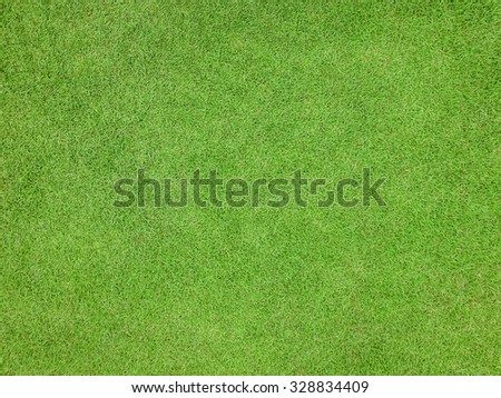 Natural grass texture patterned background in golf course turf from top view: Abstract background of authentic grassy lawn environmental textured pattern backdrop in bright yellow green color tone
