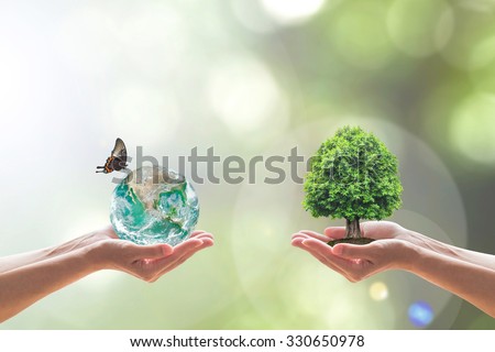 Two people human hands holding/ saving growing tree of knowledge and green globe with butterfly in clean environment on blurred natural background bokeh Elements of this image furnished by NASA