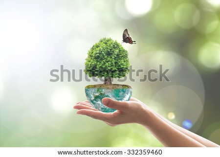 Planting tree in green globe on female human hands with a butterfly on blurred natural bokeh background of greenery: Saving environment conservation concept: Elements of this image furnished by NASA
