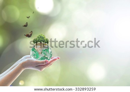 Planting eco green globe arbor tree on female human hand w/ butterfly on blurred natural bokeh background greenery: Saving environment conservation csr concept: Element of the image furnished by NASA