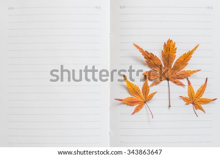 Blank note book paper texture line pattern background for handwriting with colorful red orange yellow autumn leaves frame: Natural dry autumn leaves on empty textured horizontal line for copyspace