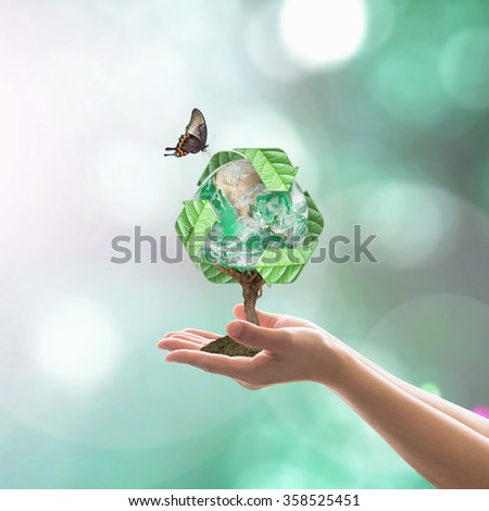Planting eco friendly bio recycle arrow sign world tree on human hands w/ blur natural greenery:  Sustainable development CSR concept idea, saving environment: Elements of this image furnished by NASA