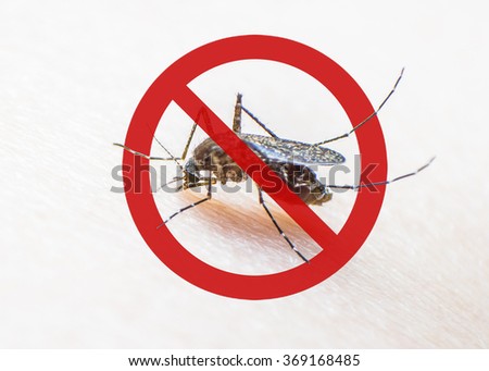 Stop/ prohibit sign on mosquito on human skin w/ human blood in insect stomach: Tropical animal, danger bacteria carrier cause dangerous illness/ disease- zika virus, malaria, flavivirus, dengue, gnat