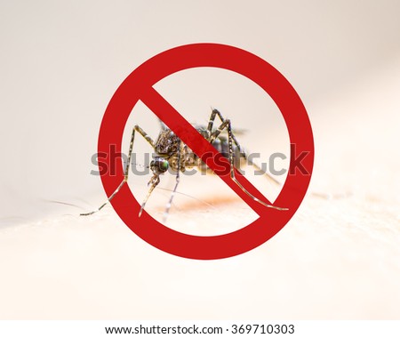 Stop/ Prohibit sign on mosquito on human skin w/ human blood in insect stomach: Tropical animal, danger bacteria carrier cause dangerous illness/ disease- zika virus, malaria, flavivirus, dengue, gnat