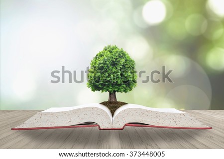 Tree of knowledge/ life growing on soil from root on big archive open textbook on wood table & blur natural green background: Educational resources arbor growth CSR WWD creative conceptual idea