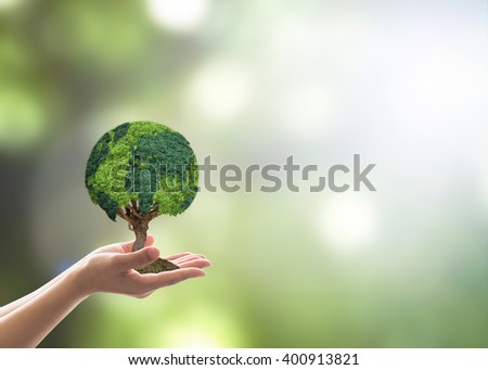 Human hand holding perfect growing tree plant on blur natural background greenery leaf: Arbor reforestation sustainable bio eco forest saving environment harmony ecosystem conservation csr campaign