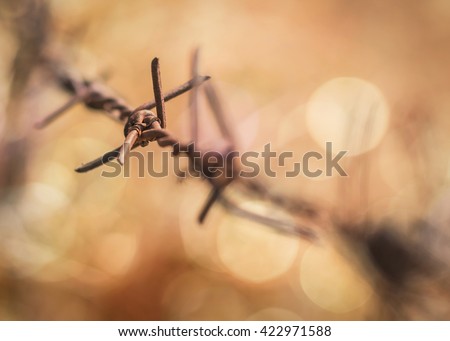 Blurry rustic rusty grunge aged barbed wire rod fence, blur candle light yellow gold bokeh background: Amnesty international day concept: Human rights social justice awareness campaign conceptual idea
