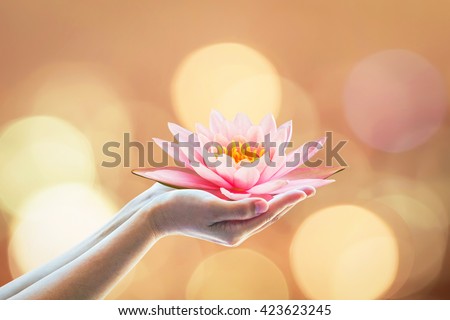 Woman human prayer hand holding lotus water lily flower worship Vesak Vesakha Buddha\'s birthday: Buddhist holiday bringing happiness Asalha Bucha Adhi Esala full moon Poya day gold candle light bokeh