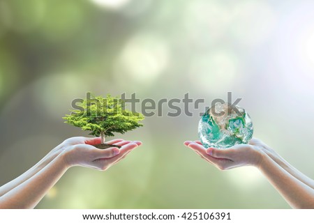 Two people human hands holding/ saving growing big tree on soil eco bio globe in clean CSR ESG natural background: World environment day go green concept: Element of this image furnished by NASA