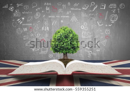 Tree of knowledge life doodle growing from big archive data open textbook on British Great Britain UK flag pattern wood table on black school chalkboard background: Read and learn English concept idea