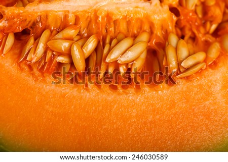Closeup view of yellow melon seeds
