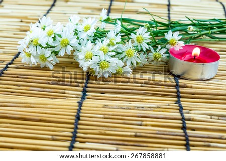 White cutter flower and tea light candle on bamboo background