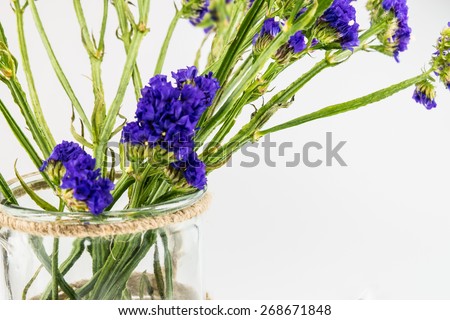 Statice flower in  glass canister isolated on white