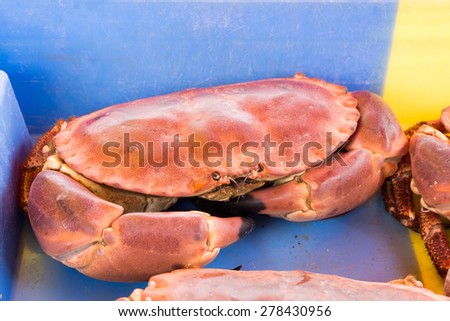 Fresh crab in the market