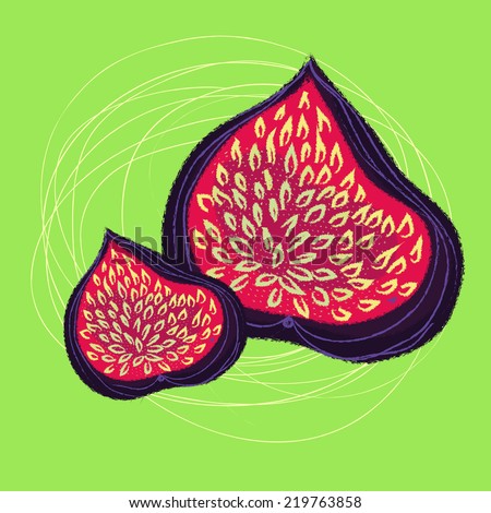 exotic fruit illustration