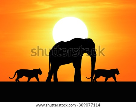 Safari in Africa. Silhouette of wild animals