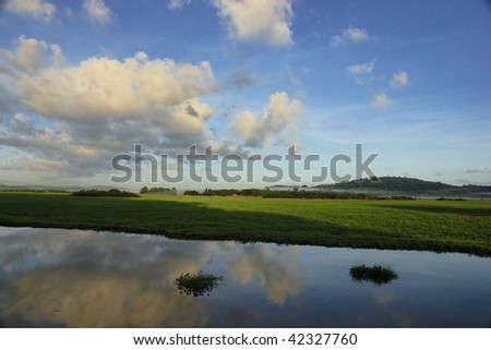 Beautiful scenery in the heart of the Amazon, marshes Kaw in French Guyana