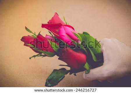 rose in my hand on brown background,valentine day