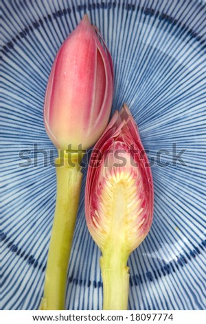 Cross section of Pink Torch Ginger flower on blue plate