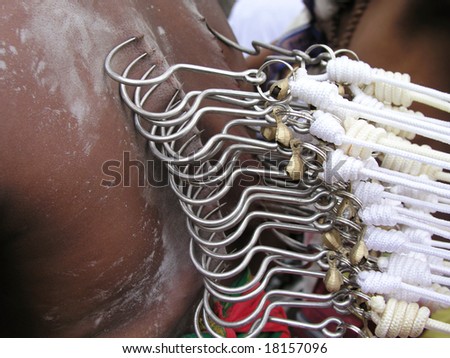 Close up detail of a devotee\'s body piercing with hooks at Thaipusam Festival