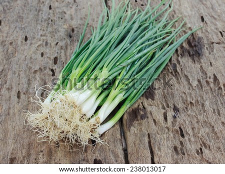Bunches of Freshly Cut Green Onions on display in a cooler in a Farmers Market, grown in Oregon on wood