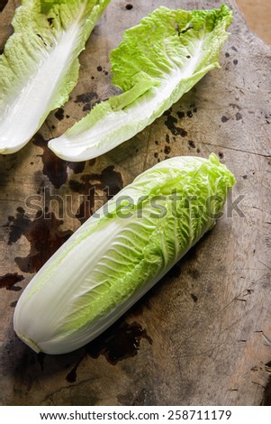 chinese lettuce still life image