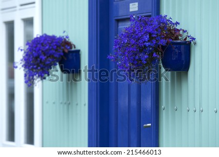 door detail with blue flowers in pots