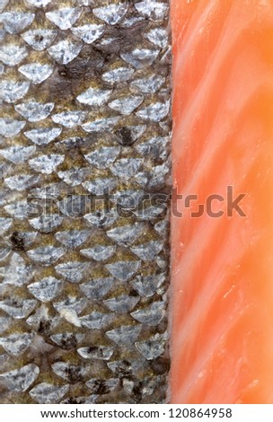 salmon fish scales on white