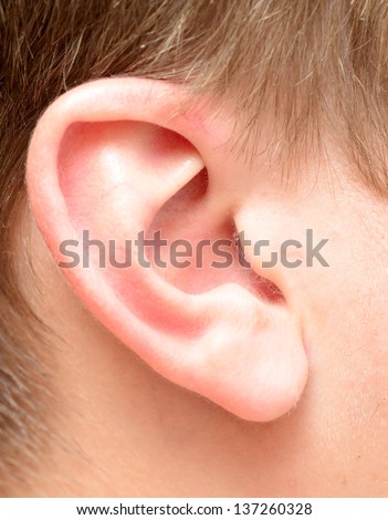 close up view of human ear
