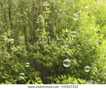 bubbles on a background of green trees