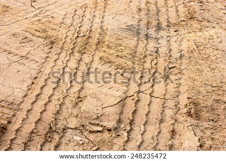 Tire tracks in the mud with a yellow dry.