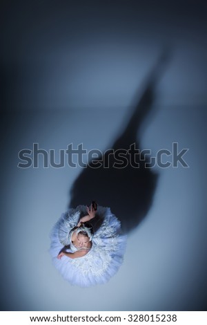 top view of the ballerina  in the role of a white swan on blue background