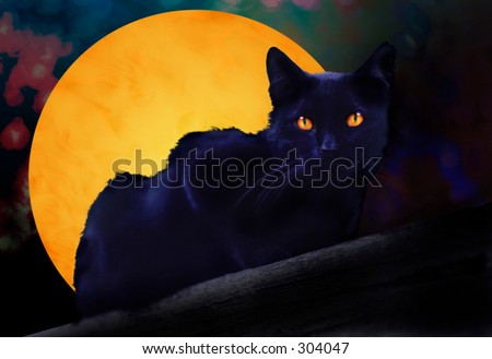 Black Cat with Full Moon