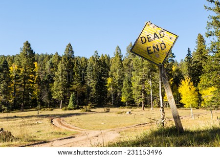 Forked dirt road dead end