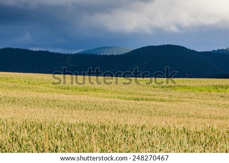 Meadow and Hills in Slovakia