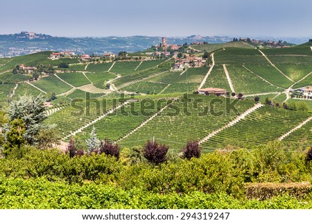 BARBARESCO, ITALY - AUGUST 3: Views of the wine producing area Barbaresco in the region Piedmont in Italy on August 3, 2013. Barbaresco is also an Italian wine made with the Nebbiolo grape.