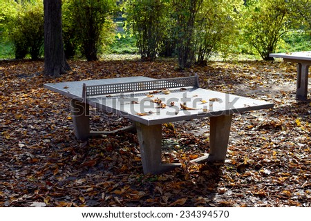 Ping-Pong Table in a Park