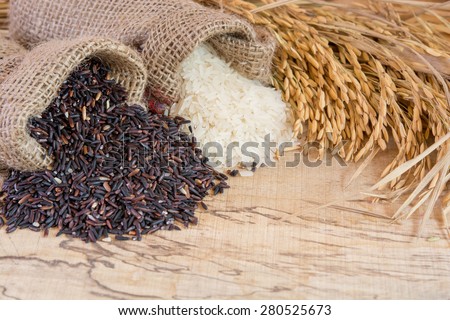 rice plants with Jasmine Rice and unmilled rice and paddy  ,on Wooden