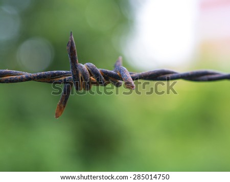 Close up Barbed wire or fence wire , on Bokeh green Background
