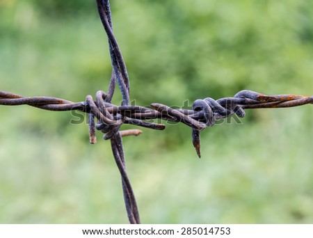 Close up Barbed wire or fence wire , on Bokeh green Background