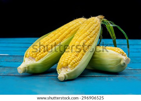 Fresh Corn with green Leaves on Blue wood table on Black  background