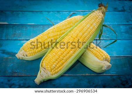 Fresh Corn with green Leaves on Blue wood table with Vignette