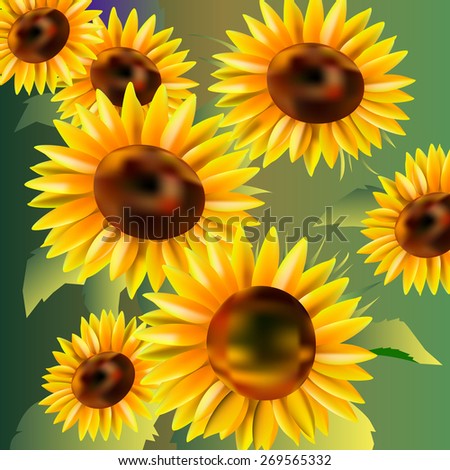 flower vector yellow summer garden sunflower illustration