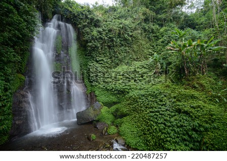 A Waterfall in a tropical forest in the highlands of the resort island of Bali, Indonesia